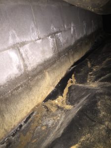 Copy-of-Water_Moisture-in-Crawlspace